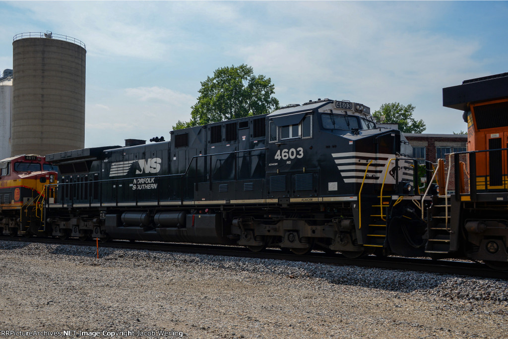 NS 4603